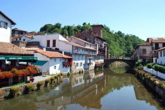 Apartament Parc Arradoy Saint-Jean-Pied-de-Port Zewnętrze zdjęcie